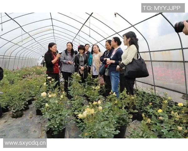 今天对决平分秋色布伦森与马克西各展风采贡献精彩表现